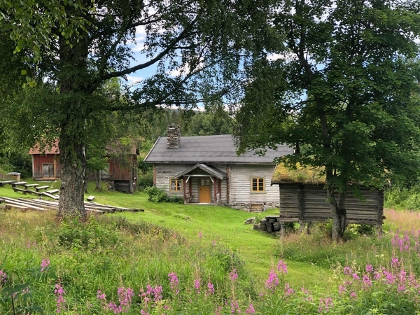 Brakadokka, Bautahaugen Samlinger