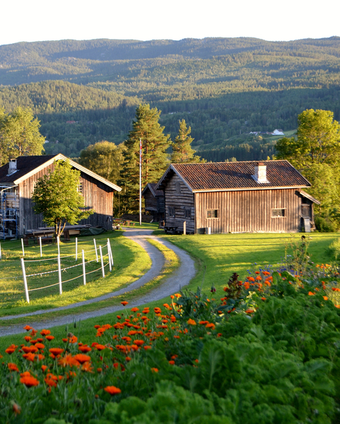 Bygg på Heddal Bygdetun