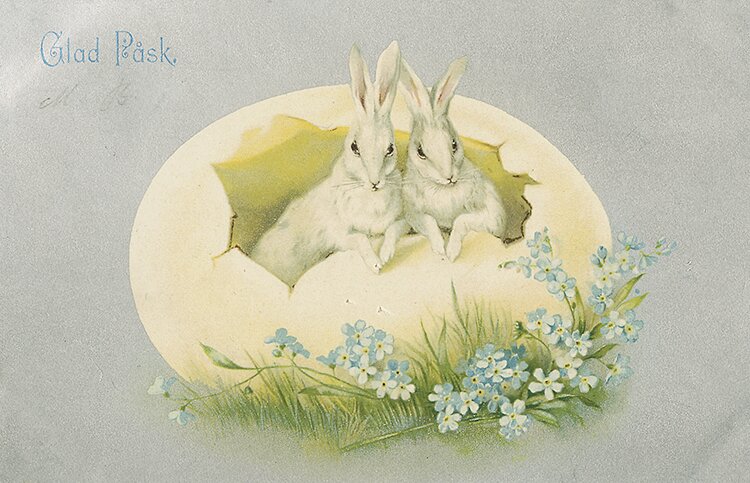 Bild: Påskkort med harar som kikar upp ur ett ägg/Upplandsmuseets arkiv. 