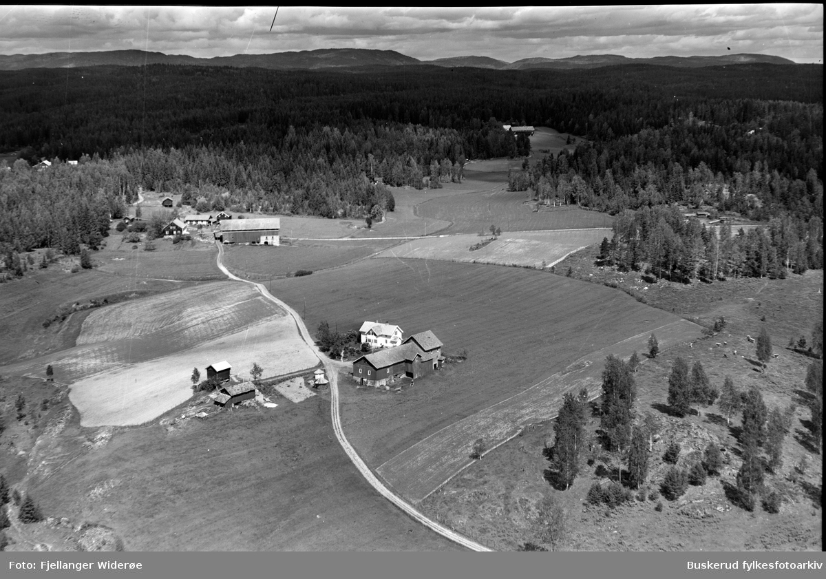 Kolkind på Nakkerud - Buskerud Fylkesfotoarkiv / DigitaltMuseum